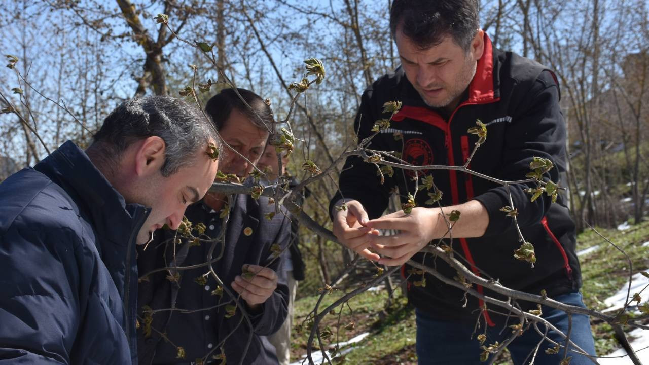 7 bin iletiyle bilgilendirme uğraşı sonuçsuz kaldı: Bu yılın eserini kaybettik