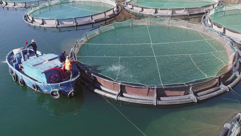 Mart ayı su eserleri ihracatı 135 milyon dolar oldu