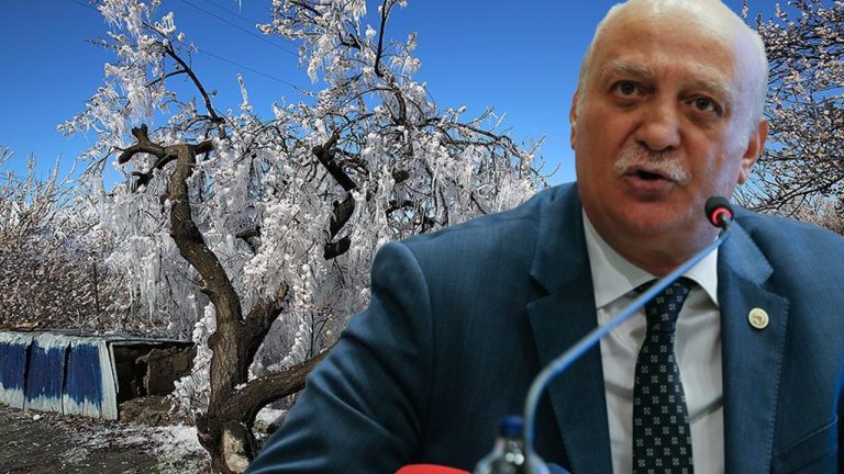 Tarımda alarm zilleri! Zirai don felaketi sonrası TZOB Başkanı Bayraktar’dan fon çağrısı