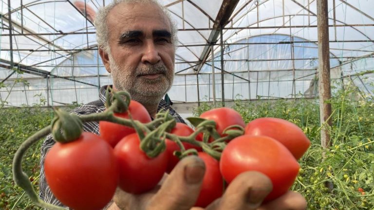 Üreticiden fiyat farkına reaksiyon: Bizden 15 TL’ye alınıyor marketlerde 70 TL’ye satılıyor