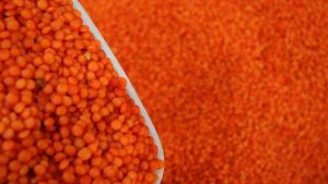 Kırmızı mercimek ve tereyağına kotalı ihracat müsaadesi çıktı