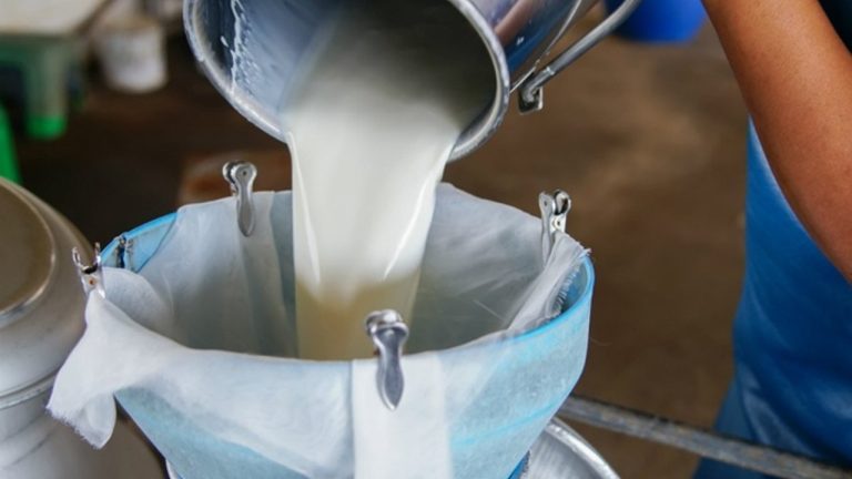 Türkiye’de çiğ süt üretiminin bu yıl 23 milyon tonu geçmesi bekleniyor