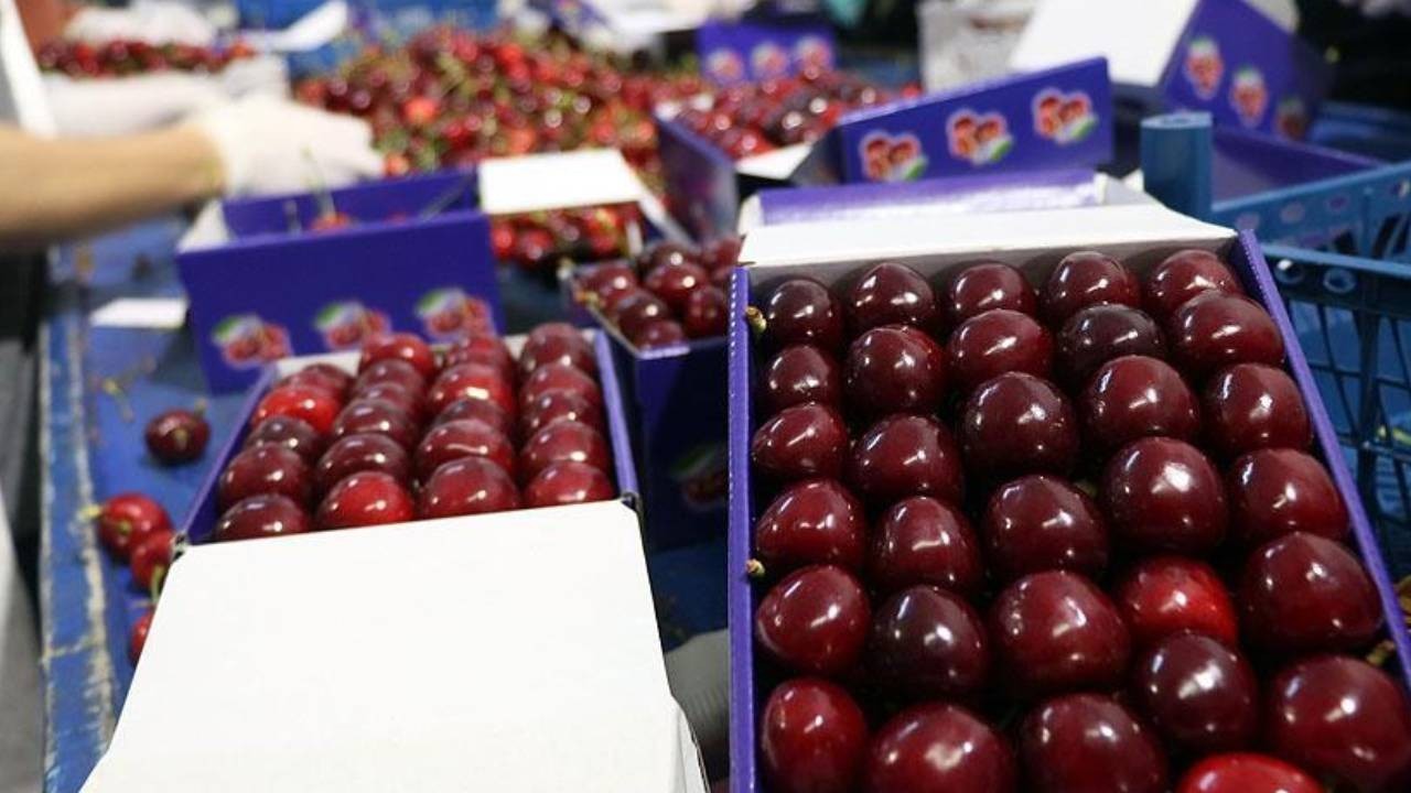 ZMO’dan çiftçiye acil dayanak daveti: Meyve ve zerzevat fiyatları uçacak, ihracat düşecek!