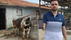 Kurbanlık satışında akılalmaz dolandırıcılık: Ava giderken avlandık