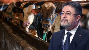 Son Dakika: Bakan Yumaklı üreticinin elinde kalan kurbanlıklarla ilgili yeni uygulamayı duyurdu