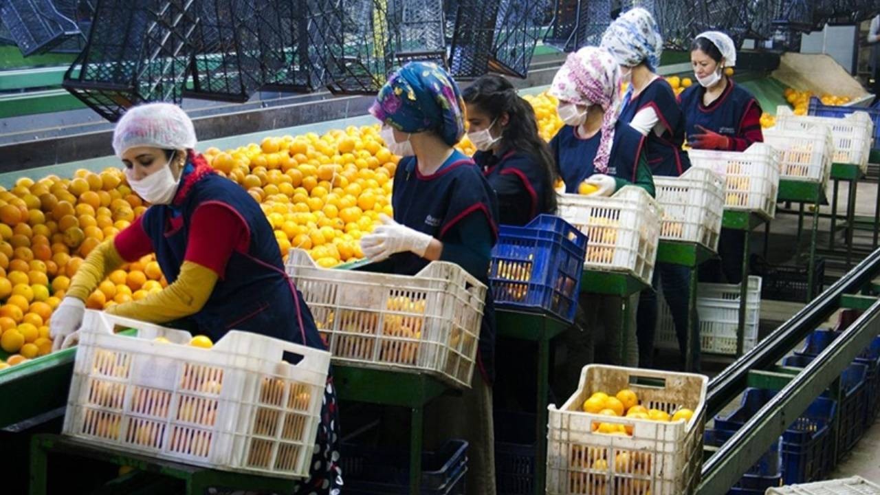 Tarım, besin ve içecek kesiminden birinci 4 ayda 9,22 milyar dolarlık ihracat